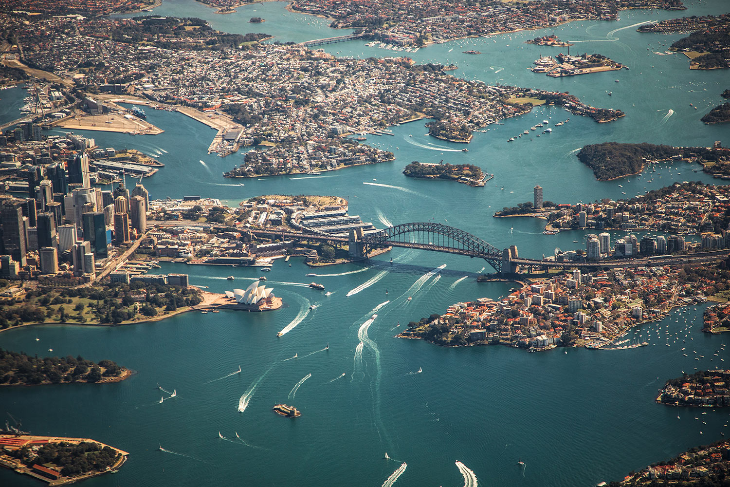 Birds Eye View of Sydney