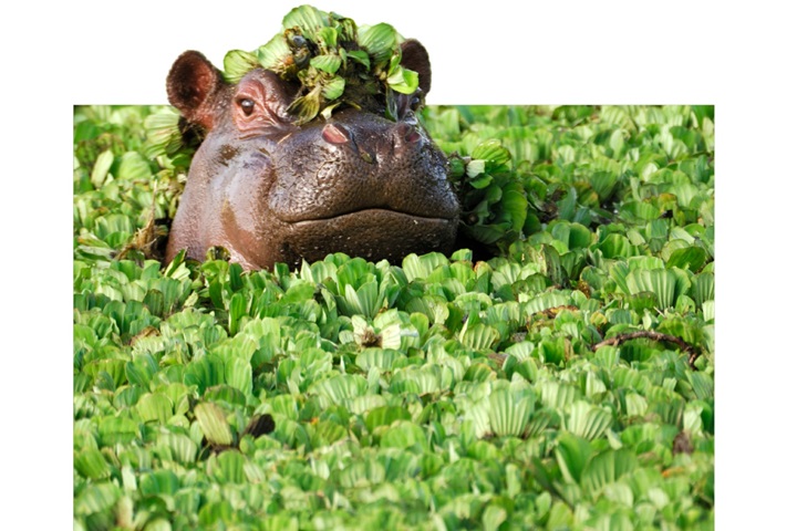 Sustainability Sector index Kantar