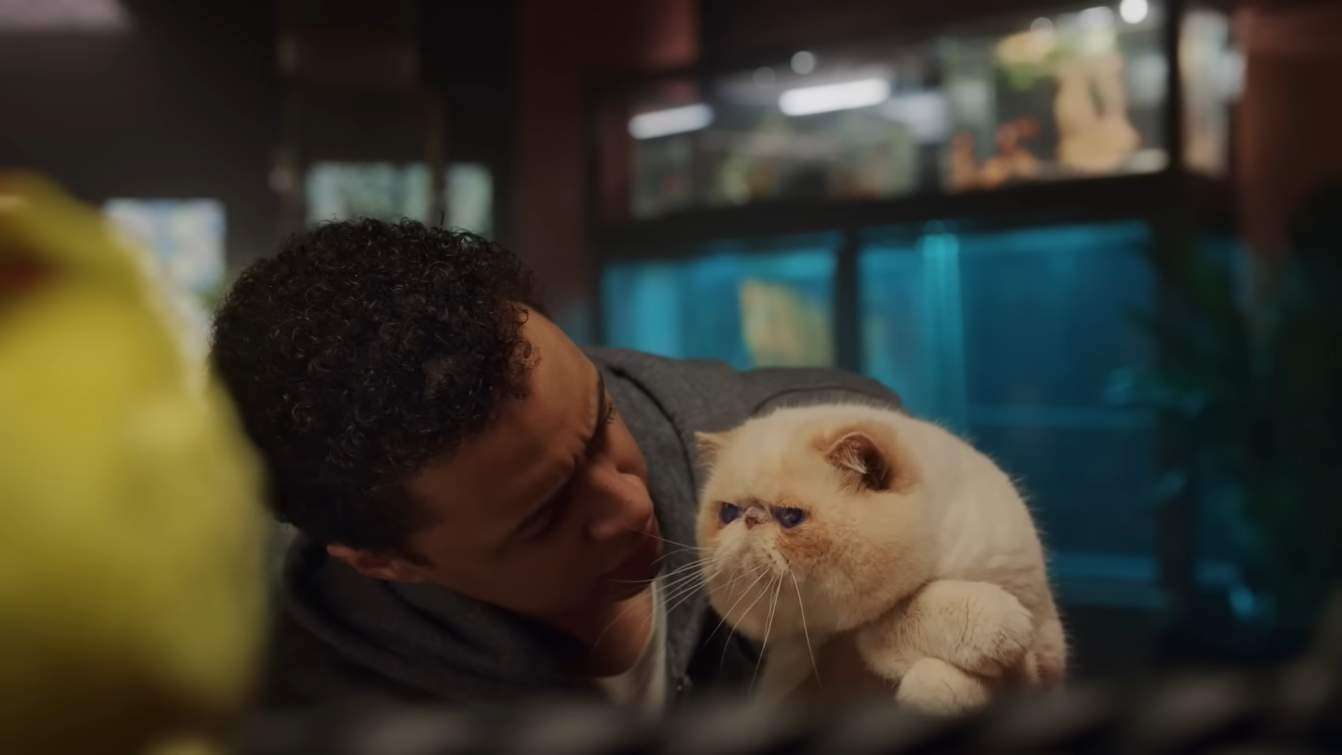 Publicidade samsung no KCEA