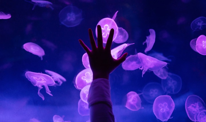 CX para impulsar el crecimiento