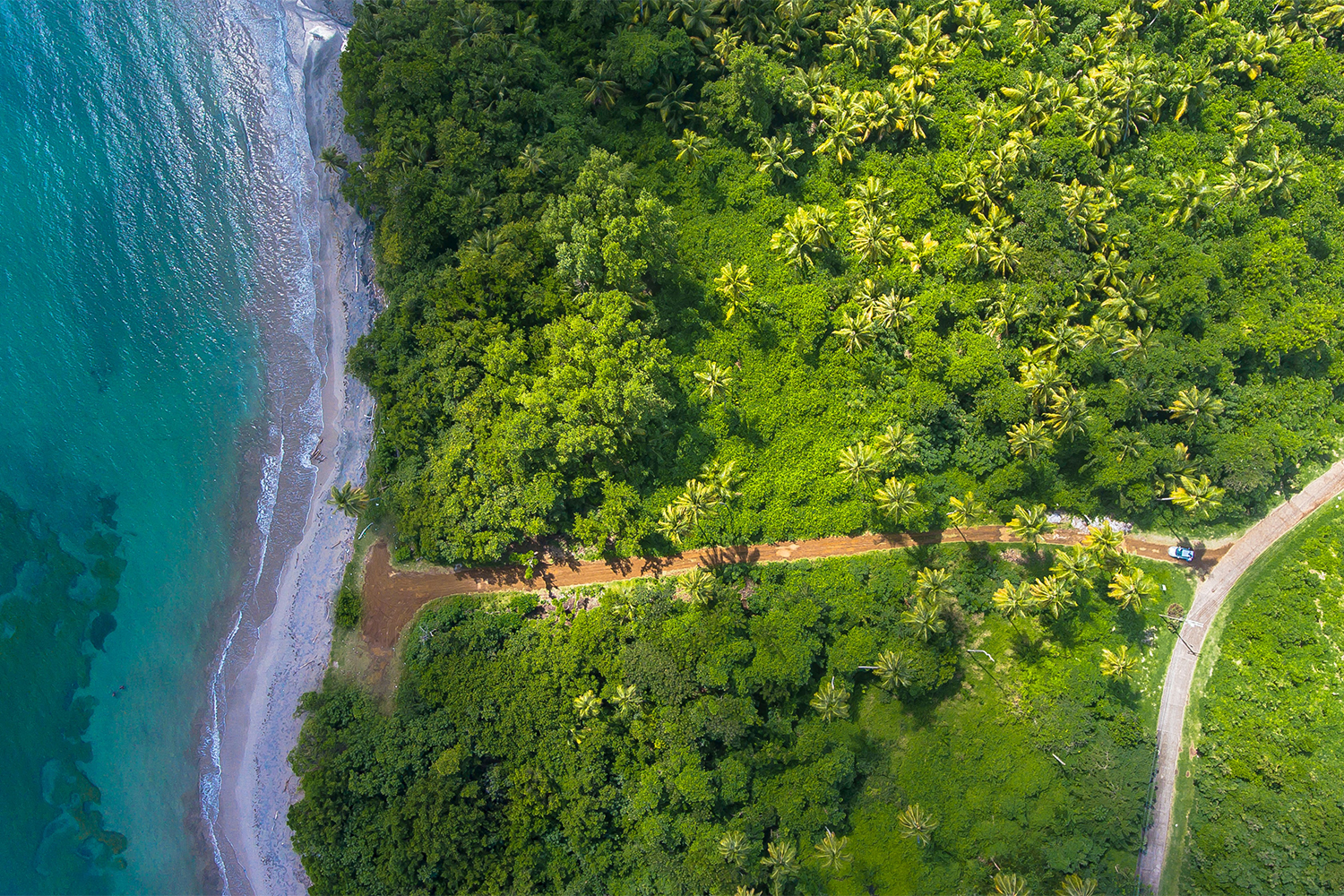 Case study Greenpeace mejorar optimizar estrategia comunicacion Kantar