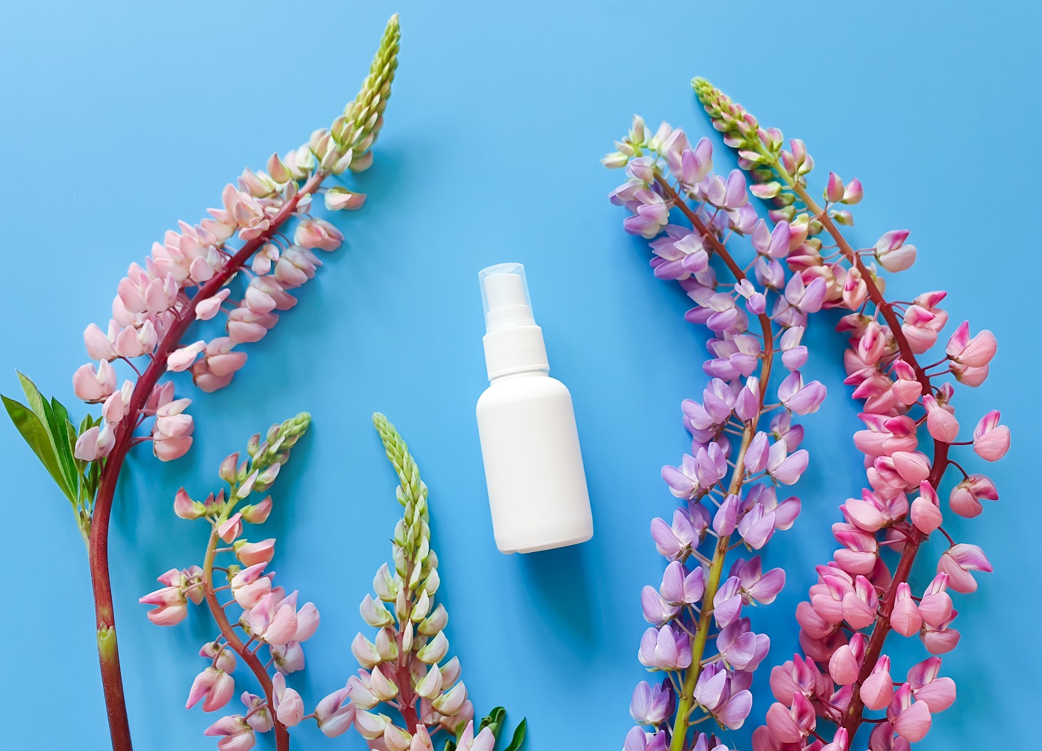 Kantar caso de éxito Nº 7