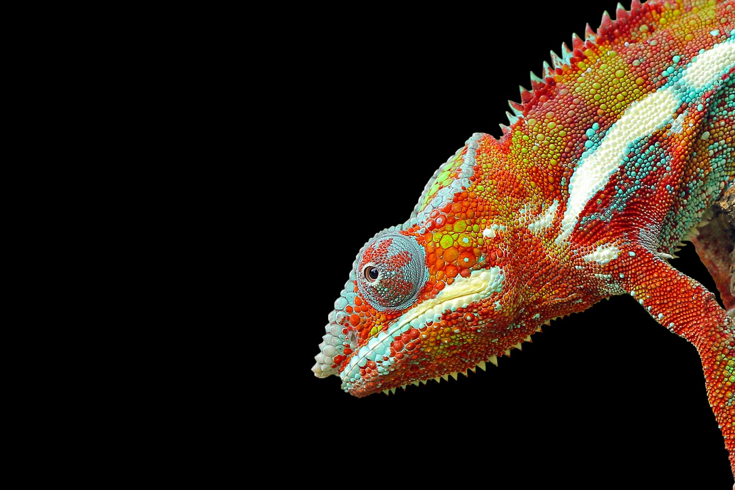 Comment s'adapter à un monde VUCA ?