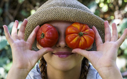 Alimentation