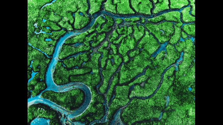 Banner Omnichannel Latam 2022