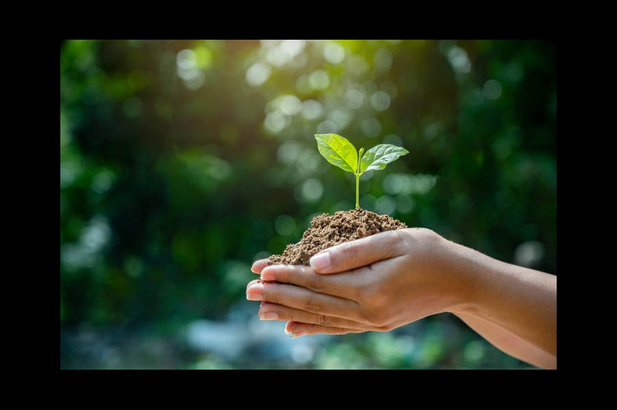 Cambio cantidad de bienes de consumo comprada