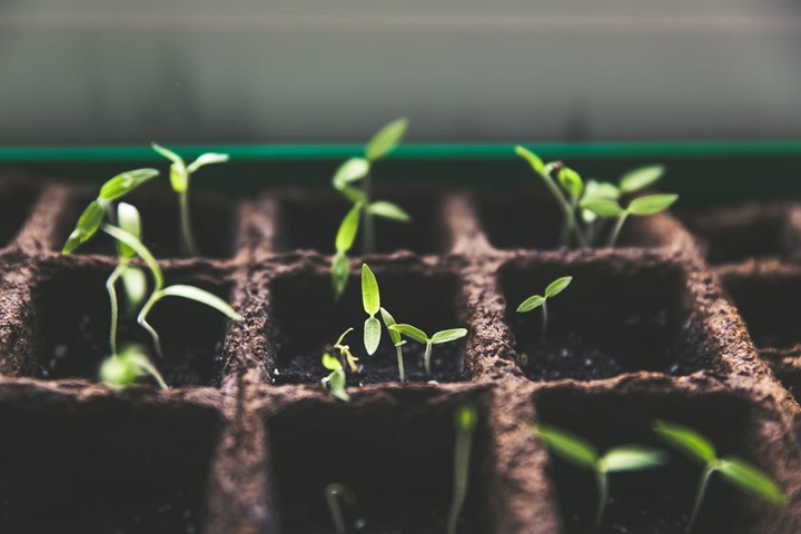 De rol van marketing in een duurzam toekomst