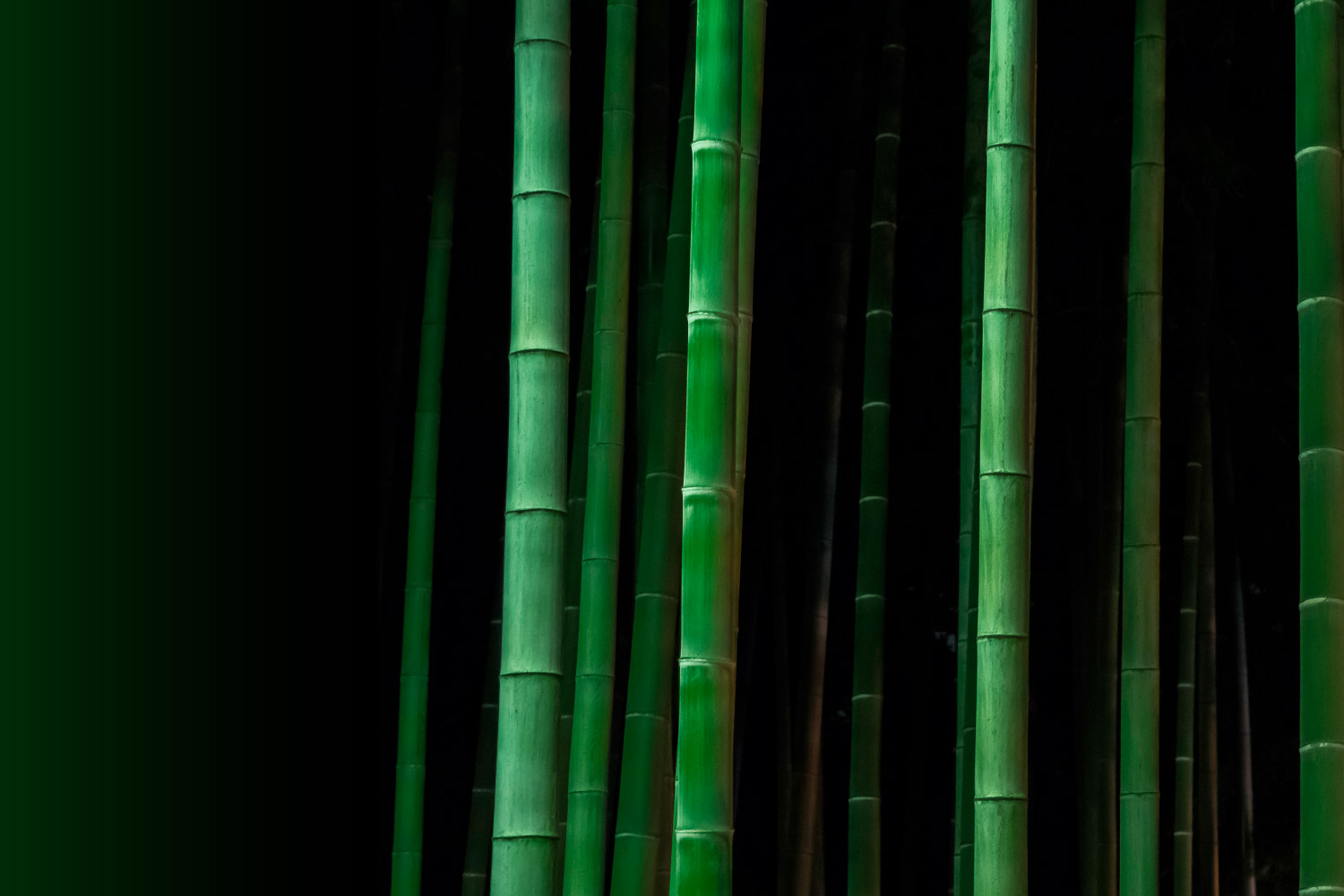 Making Sustainability Real in 2024