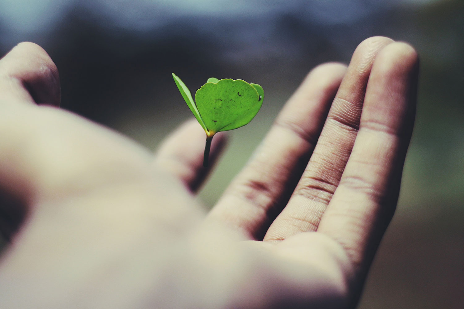 Whose job is it to bring Purpose and Sustainability together?