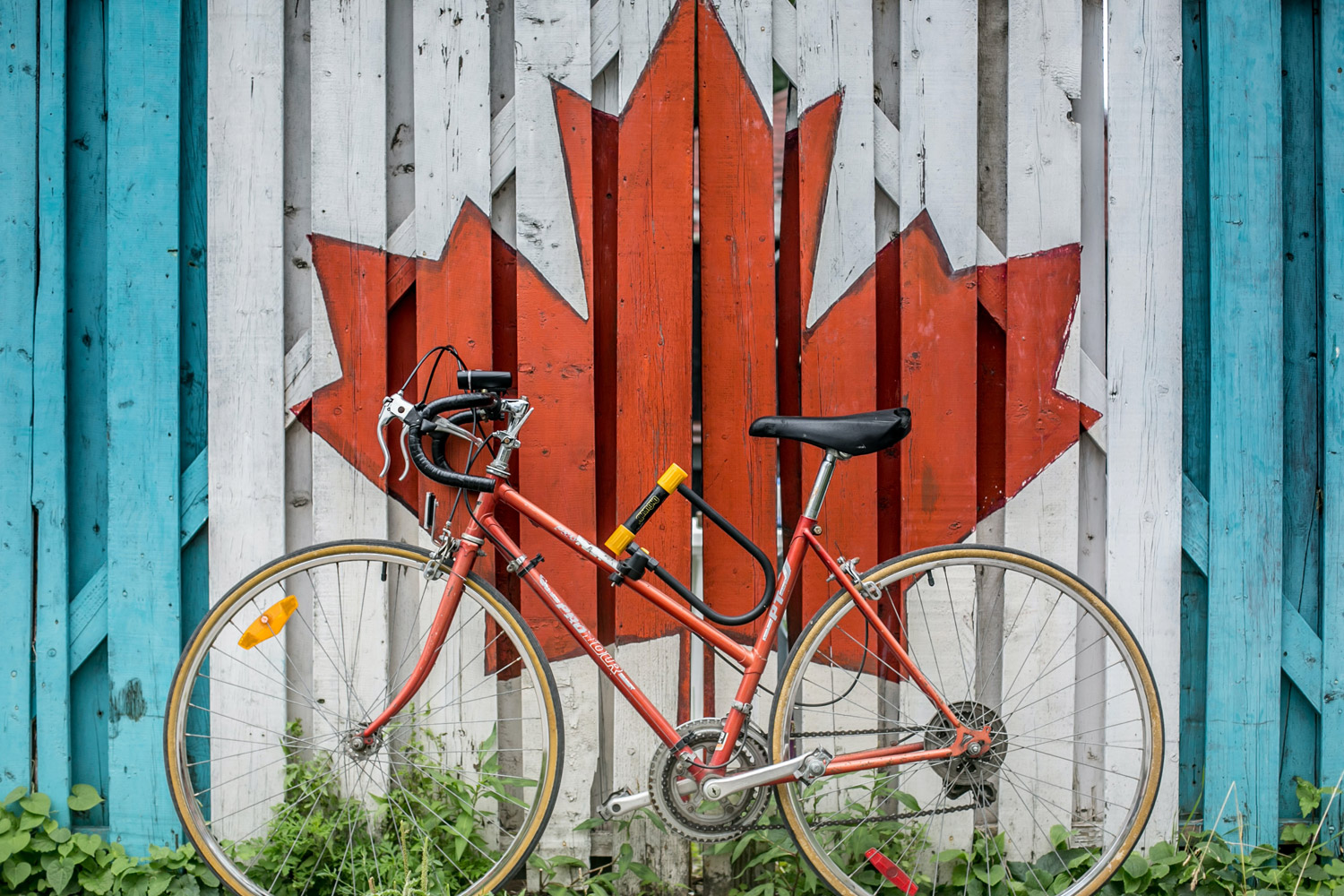 Bank learning against a fence with a Canadian maple leaf