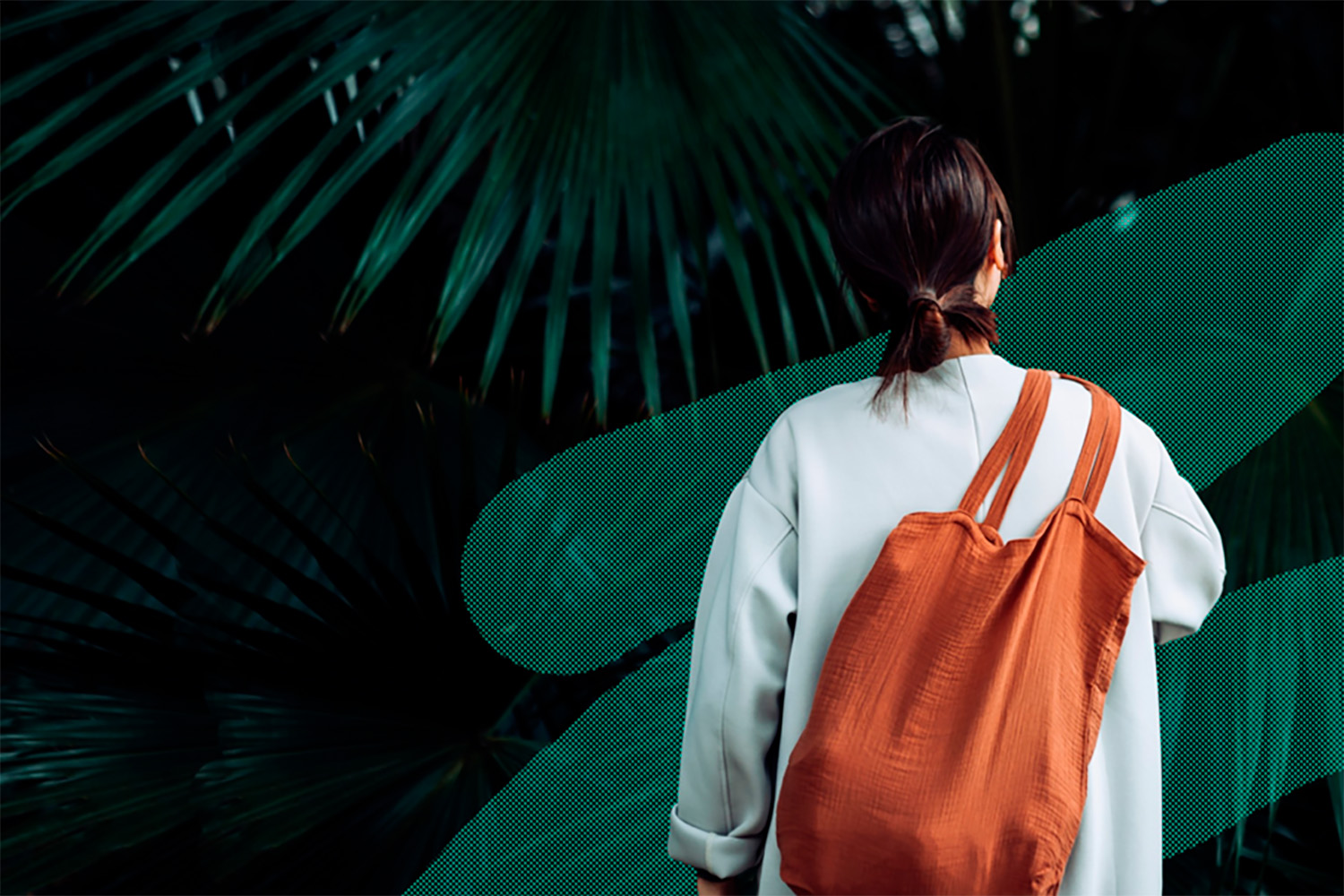 wcwd latam 2022 resized