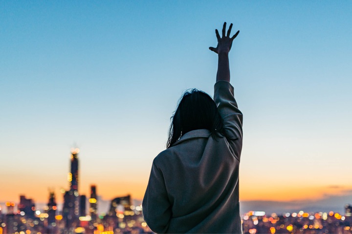 Consumer landscape solutions