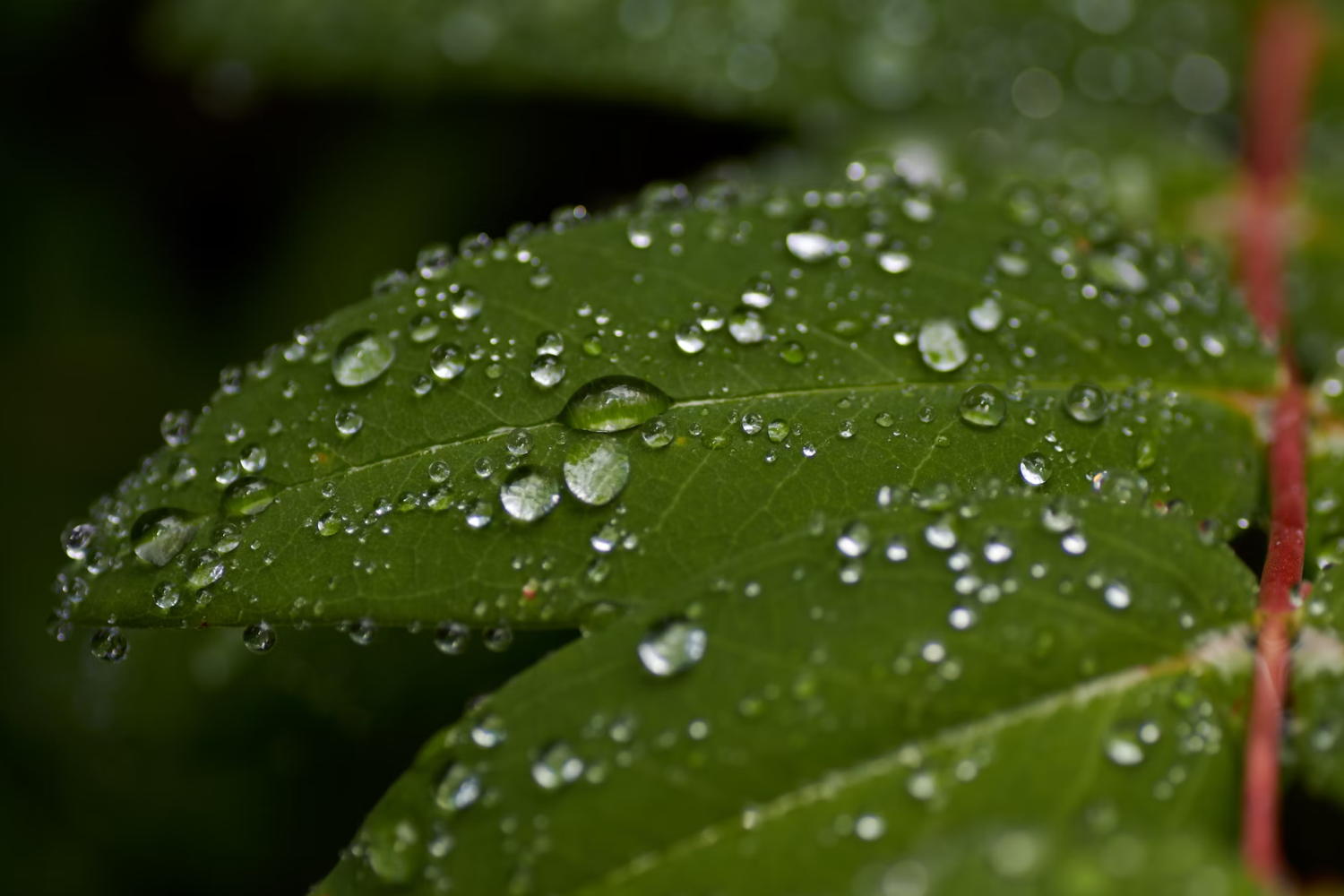 How to avoid greenwashing