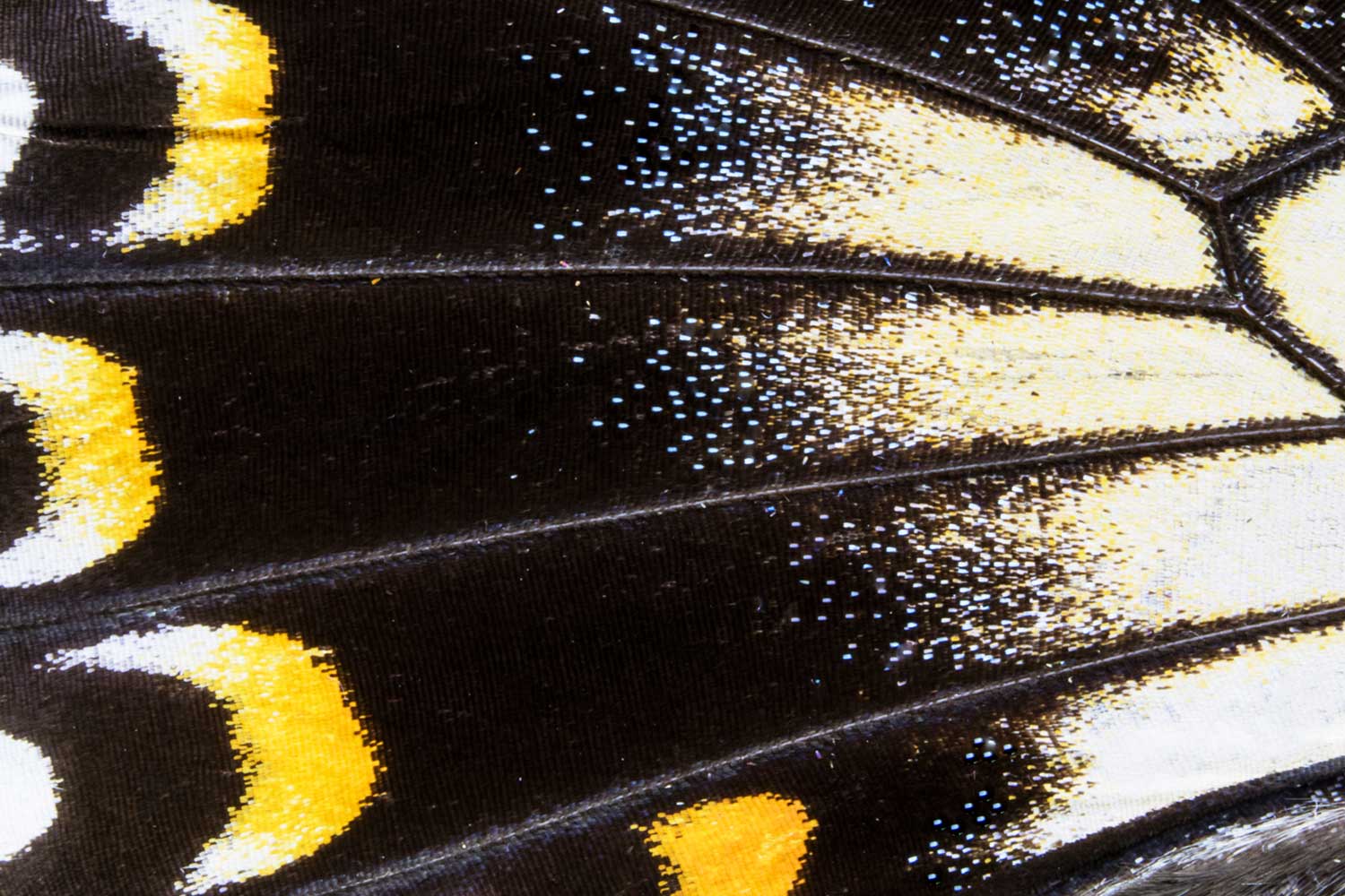 Retail Breakthrough Insights image