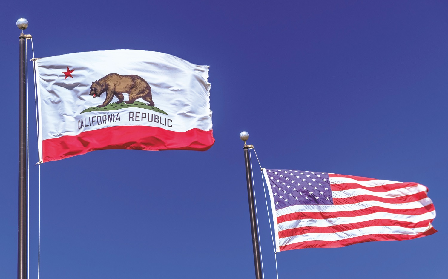 California recall election