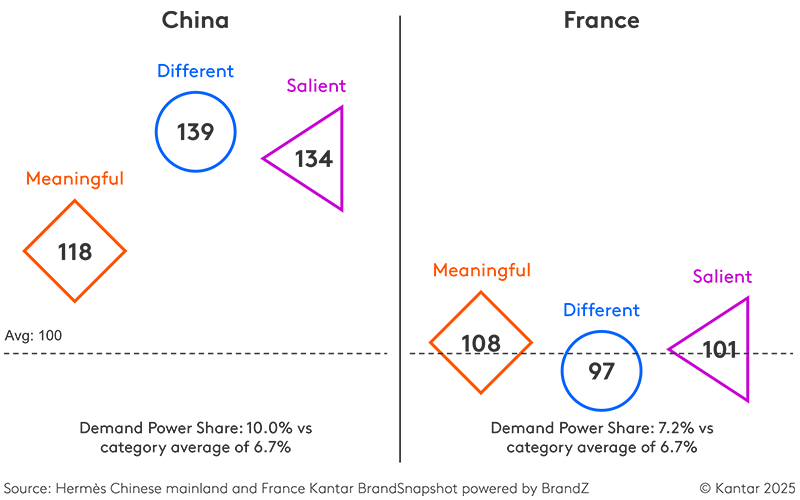 Hermes Chinese mainland and France Kantar BrandSnapshot powered by BrandZ