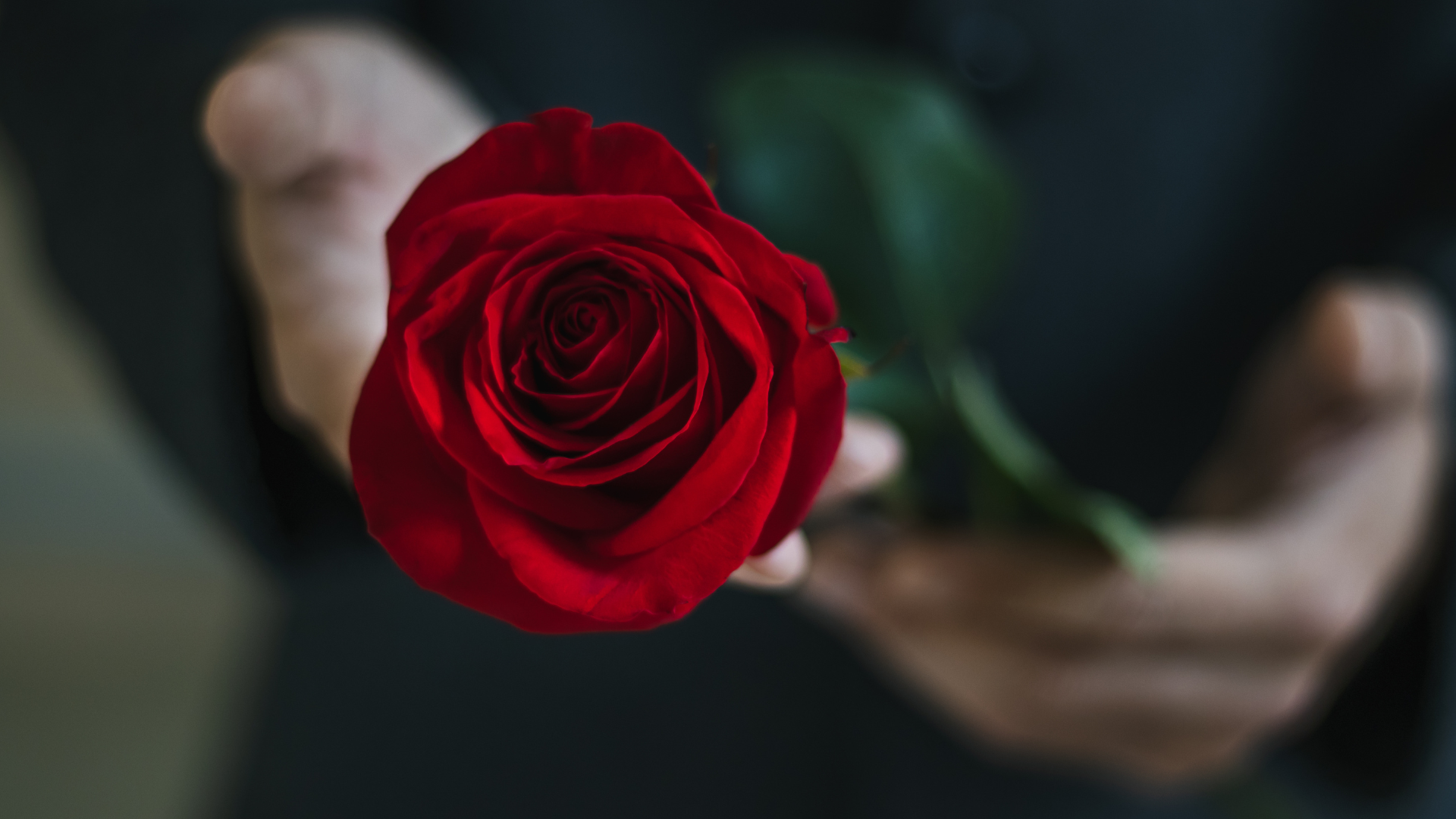 Kantar Ukraine_ad in Holostiak