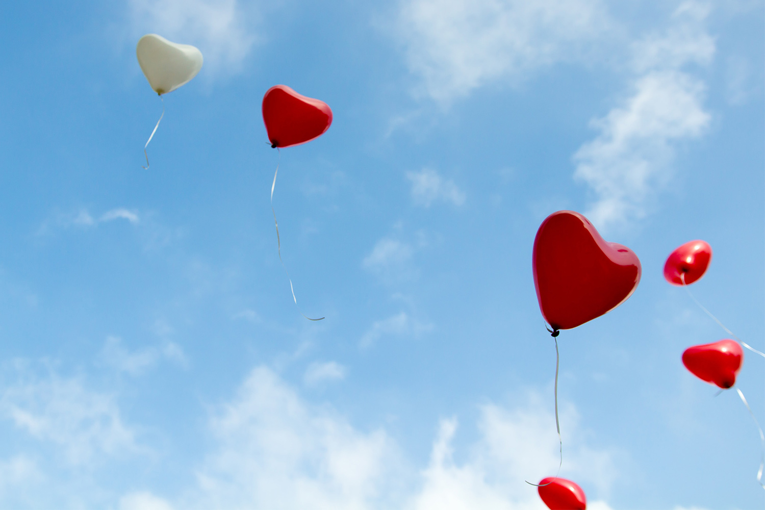 Emotional connection