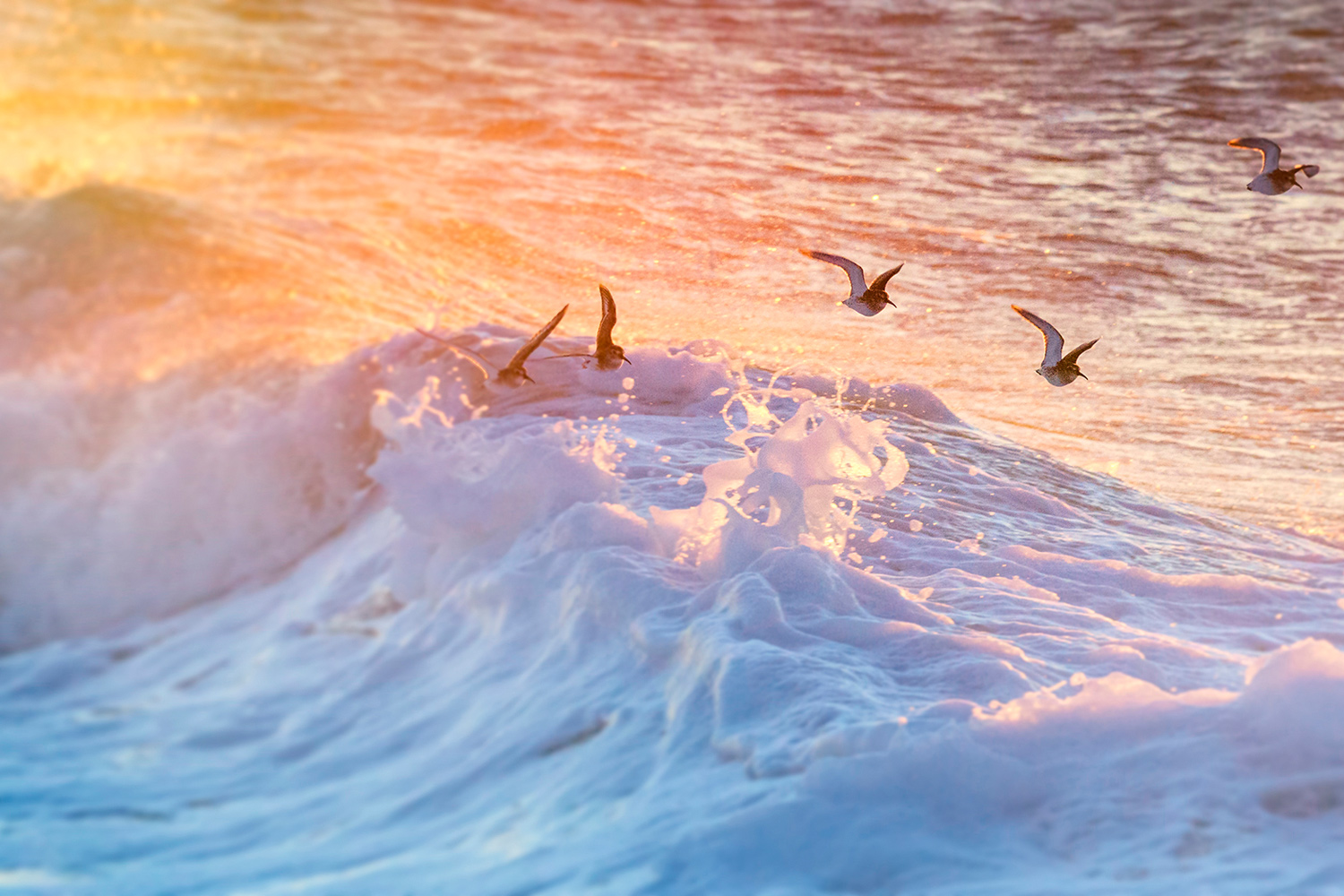 A dynamic world for creative